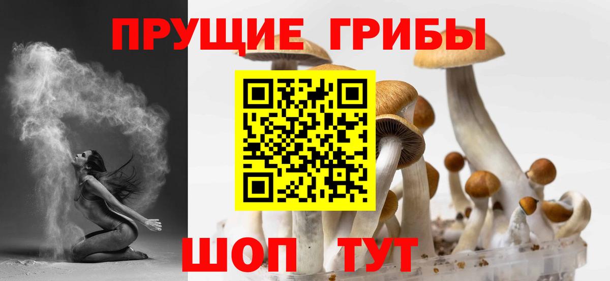Псилоцибиновые грибы ЛСД Удомля